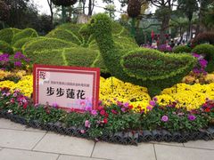 -莲湖公园