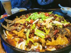 -老板恋上鱼(恒隆广场店)