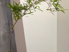 -WATER CAFE(广厦店)