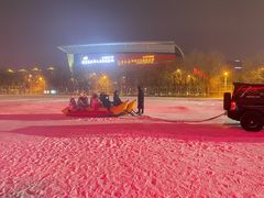 -沈阳奥体冰雪嘉年华