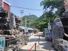 -大岭沟猕猴桃谷风景区