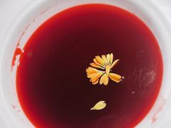 -九鼎轩脆毛肚火锅(三钢里店)