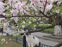 -柳莺湖上·湖景餐厅·江南菜(西湖店)