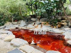 -湖泉半山温泉