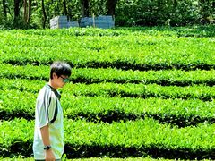 -敬亭山风景名胜区