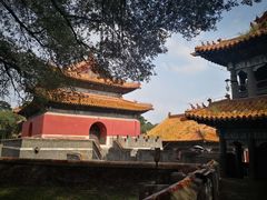 -北陵公园