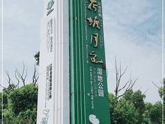 -荷塘月色湿地公园·向阳花洲