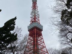 -东京塔海贼王主题公园