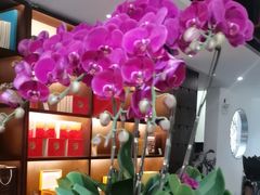 -荷风细雨·中国茶宴(碧云店)