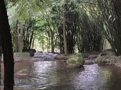 -峨眉山报国寺