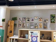 -藏猫猫咖啡主题馆(中央大道店)