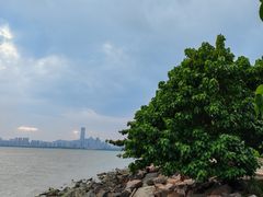 -深圳湾公园(南山区)