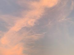 -月湖风景区