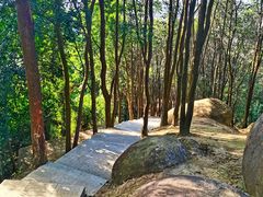 -火炉山森林公园