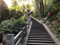 -龙井村
