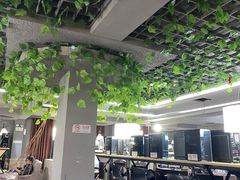 -网鱼网咖(金山卫零店)