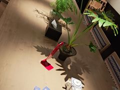 -鑫花溪牛肉米粉(凤凰街创始总店)