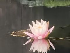 -望江楼公园