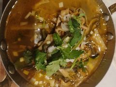 -凯鸽酒楼(操场城店)