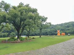 -苏州上方山国家森林公园