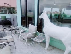 -DOS HOP潮上舞蹈