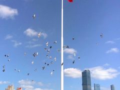-大连人民广场