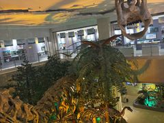 -甘肃地质博物馆