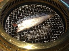 -茶六烧肉堂 博爱店