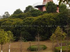 -东莞植物园