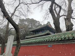 -北京国子监胡同