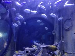 -成都浩海立方海洋公园