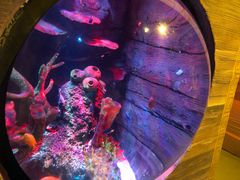 -沈阳海洋探索中心