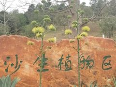 -东莞植物园