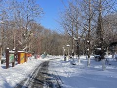 -长白岛森林公园