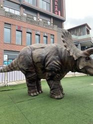 -恐龙探索乐园(磁器口店)