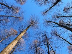 -南京金牛湖风景区