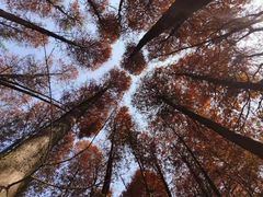 -华南国家植物园-售票处