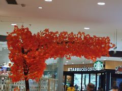 大堂-星巴克臻选(华堂·新辰汇店)