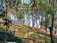 -马王堆汉墓遗址