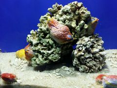 -洛阳龙门海洋馆