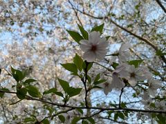 -上海滨江森林公园