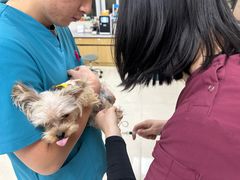 -美联众合动物医院·24h京西诊疗中心