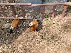 -济南野生动物世界