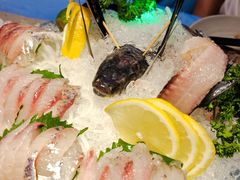 -千岛蚝高压锅生蚝·人参火锅(白云万达店)