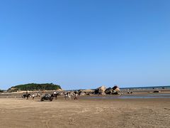 -南澳海滩