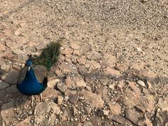 -南京金牛湖风景区