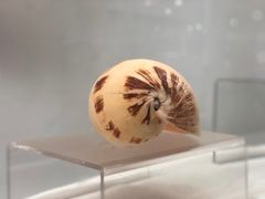 -无锡动物园·太湖欢乐园