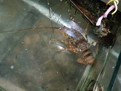 -钱大妈海鲜饭店(保利林语店)