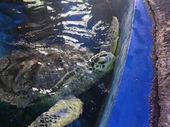 -横店影视城梦幻谷园区