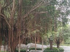 -深圳国际园林花卉博览园